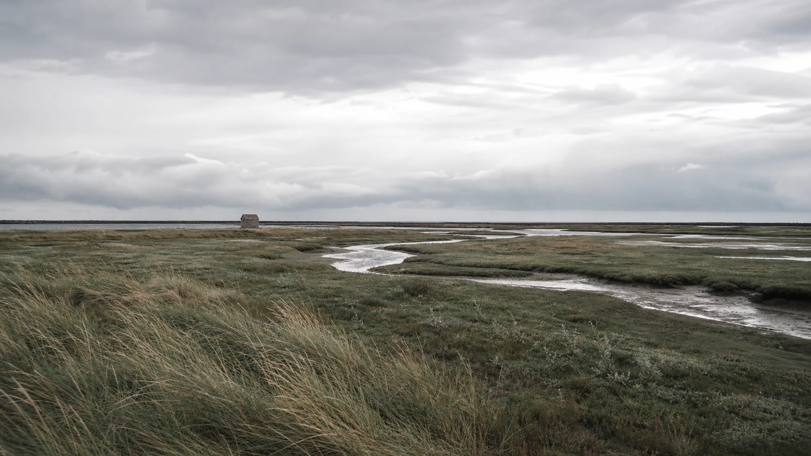 Salt marsh grasses meeting wide tidal water beneath an open Norfolk sky